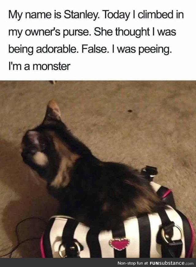 Adorable monster