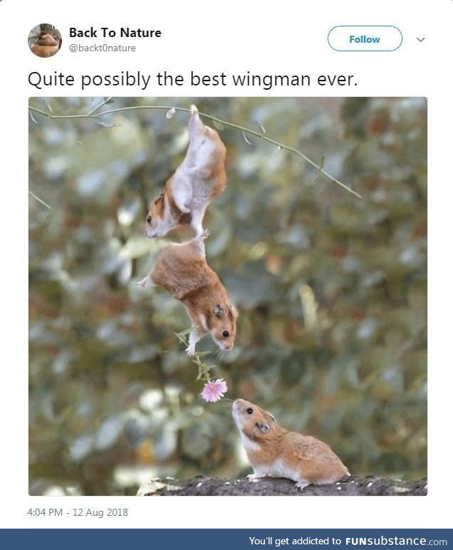 Best.Wingman.Ever