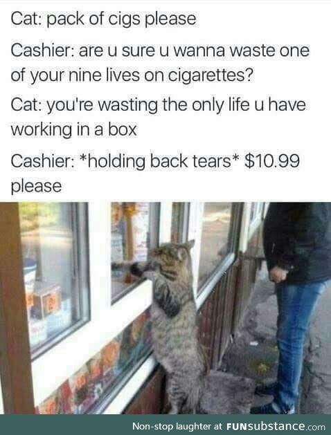 Cats are assholes!