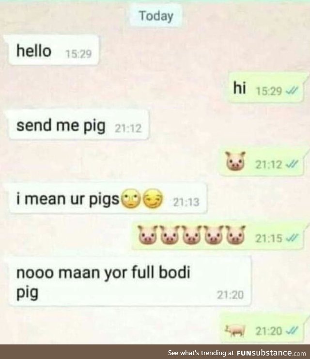 Whole body pig pls