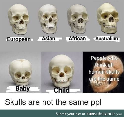 All humans skulls are the same