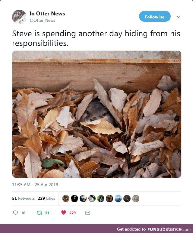 Steve is spending another day hiding from his responsibilities