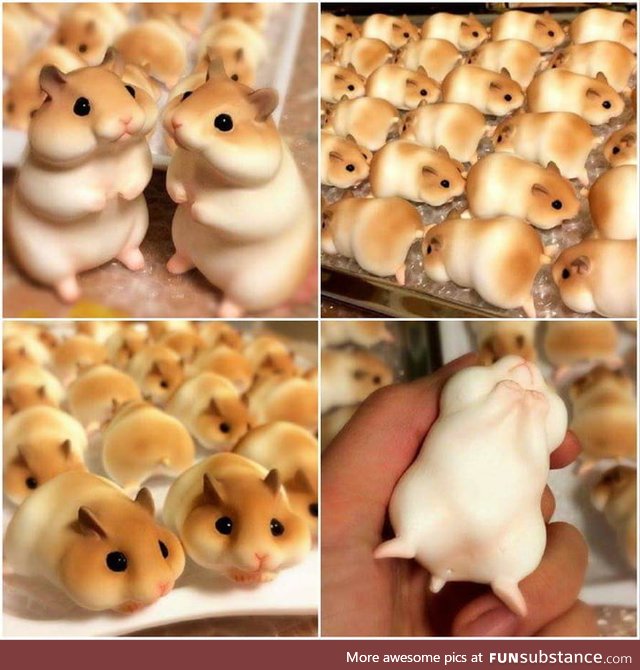 Hamster bread