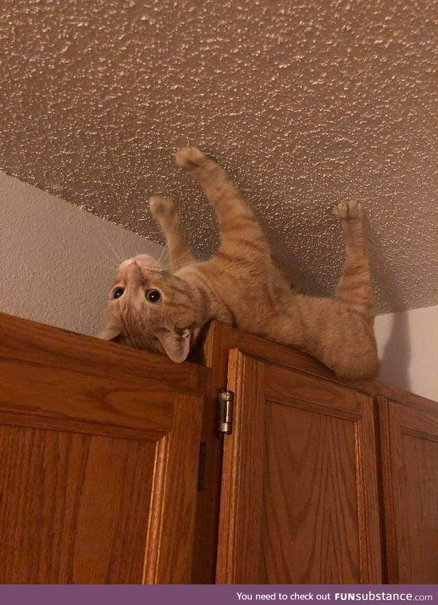 ʍoǝɯ ʍoǝɯ