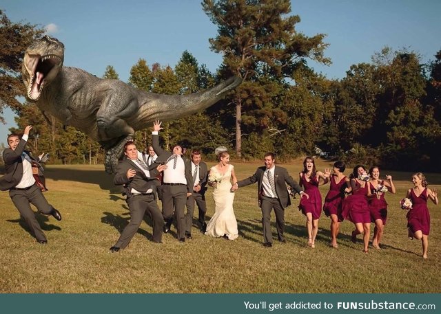 My friend let her husband take one “fun” photo of their wedding party.I think he got right