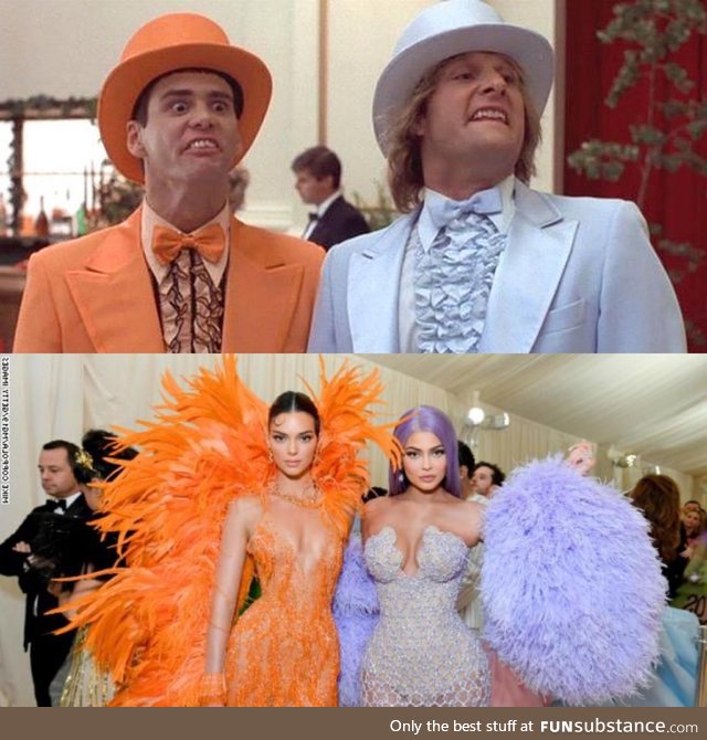 Nailed it! 2019 Dumb and Dumber