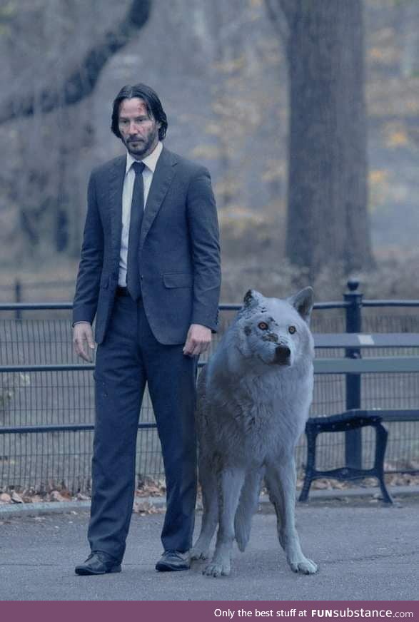 John Wick is coming for John Snow. Do not abandon your dog