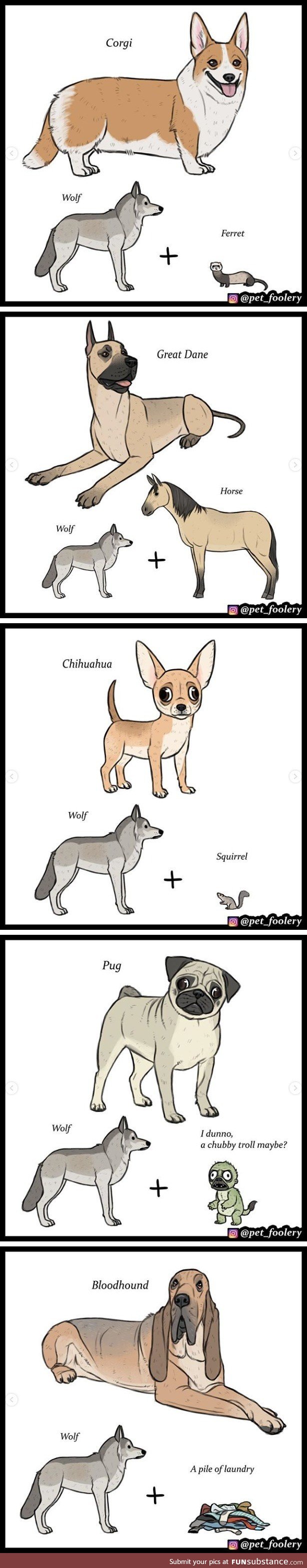 Dog breeds by petfoolery