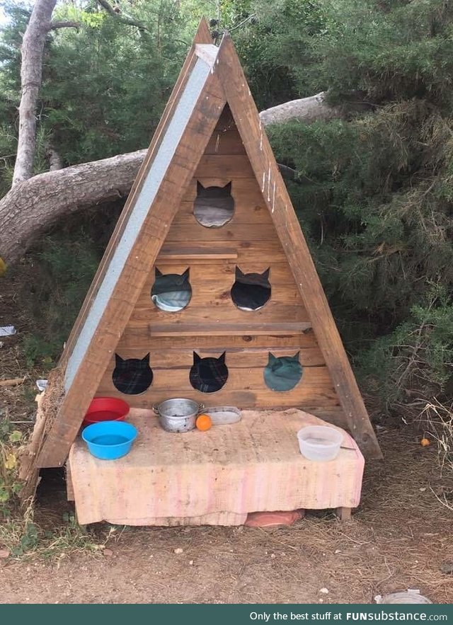 Cat hostel for feral cats in Portugal