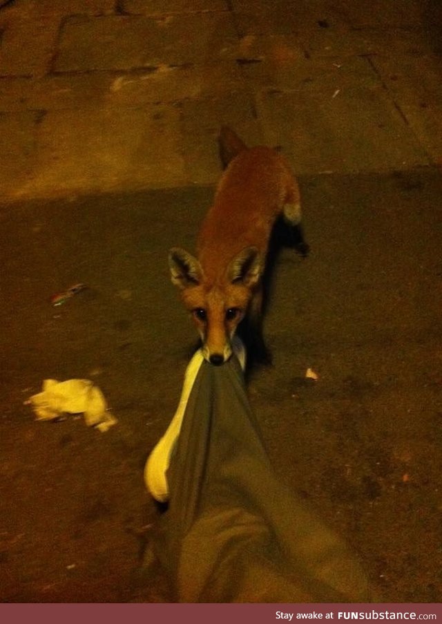 Passed out at a London bus stop. Woke up to this