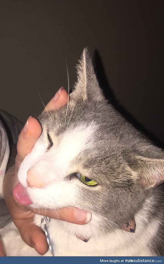 Blep