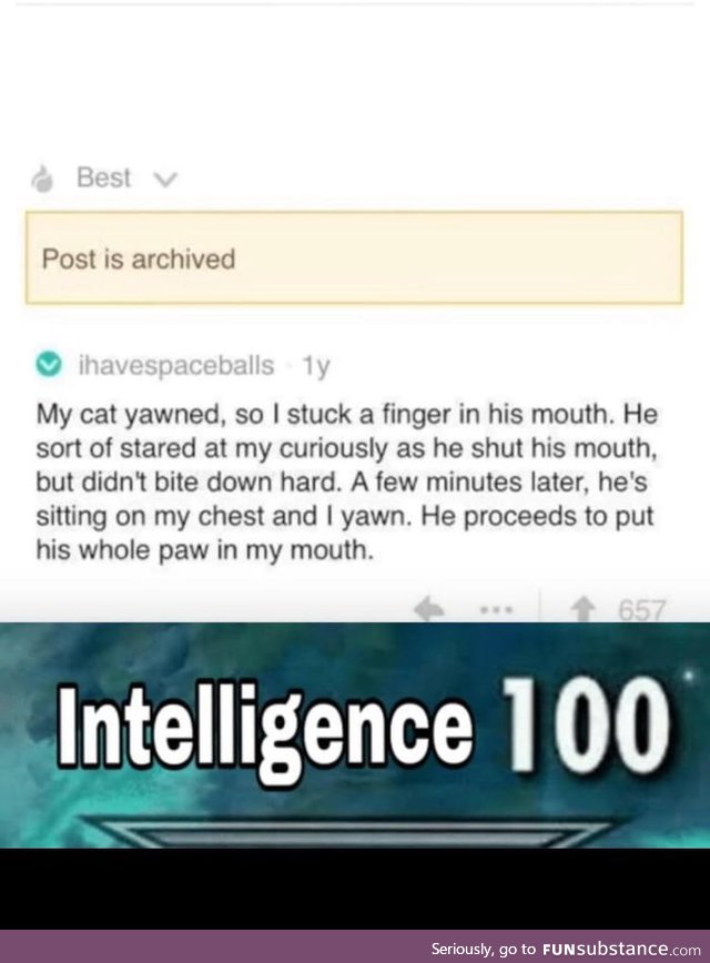 Intelligence