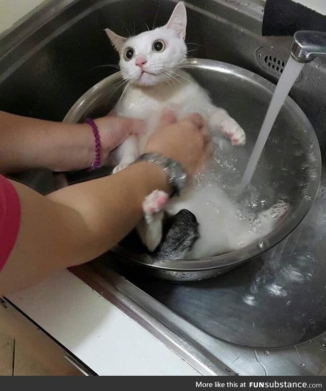 Are u gonna cook me hooman