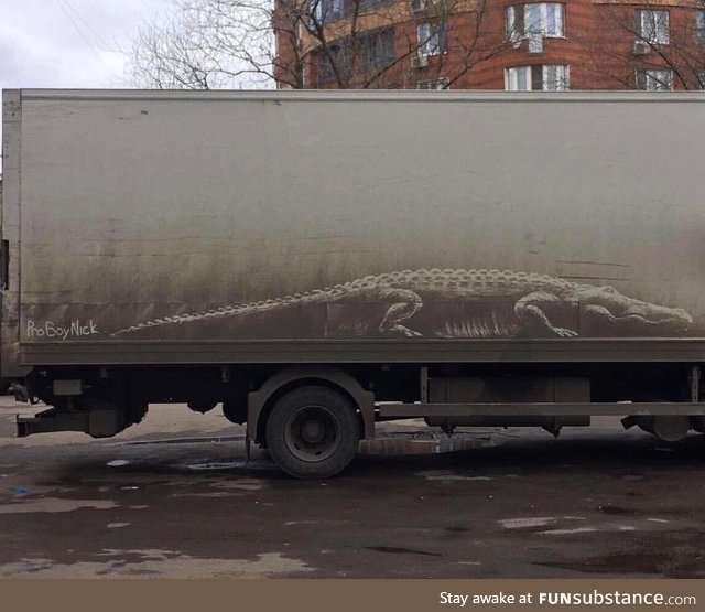 Alligator drawn into dirt on the side of this truck