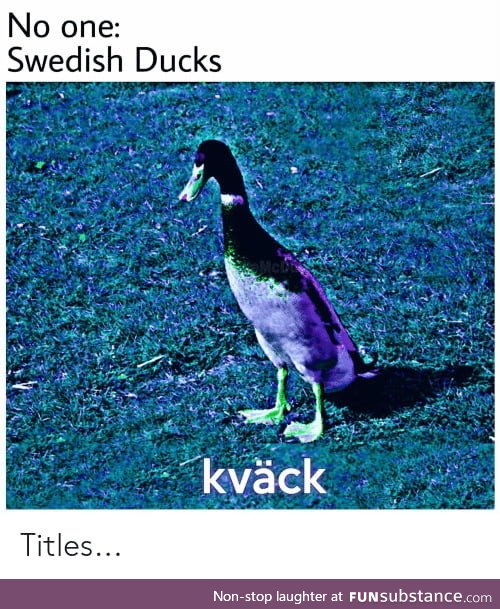 Kv&auml;Ck