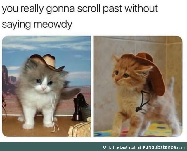 Meowdy partner