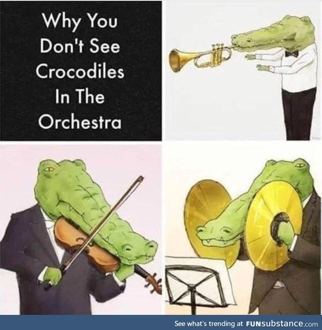 Crocodiles struggle in band class