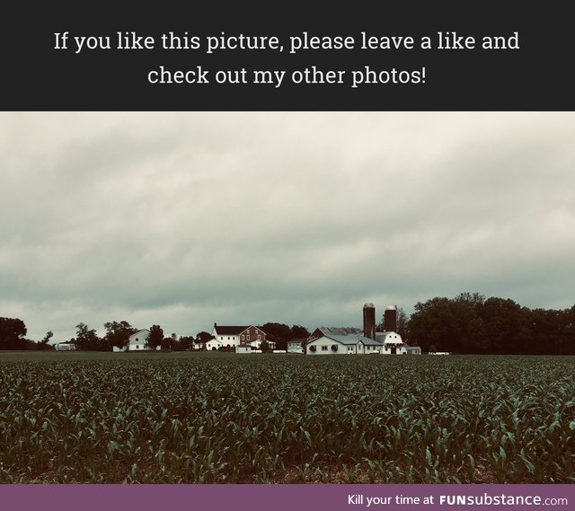 Farm in PA