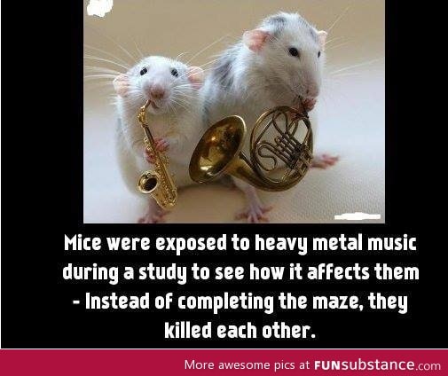 Heavy metal music is bad