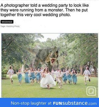 Coolest wedding photo ever