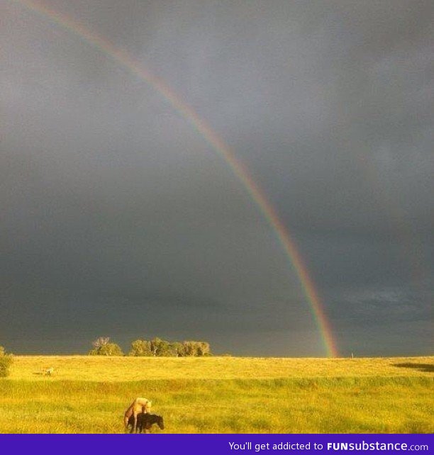 Sooomewhere... Under the rainbow