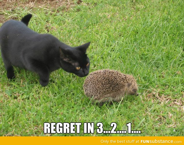 Regret in...