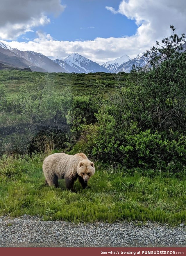 A reminder, from somewhere deep in Alaska, that we’re just tourists on Earth!!