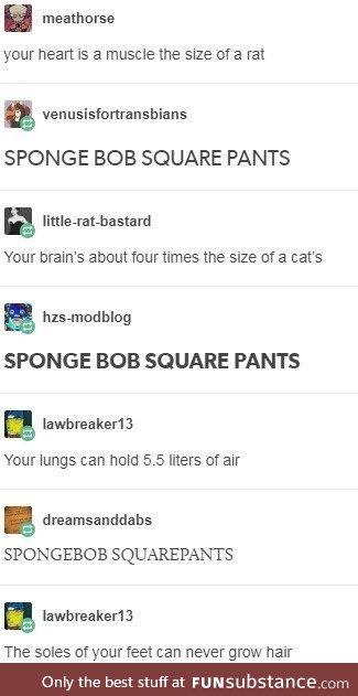 SPONGEBOB SQUAREPANTS