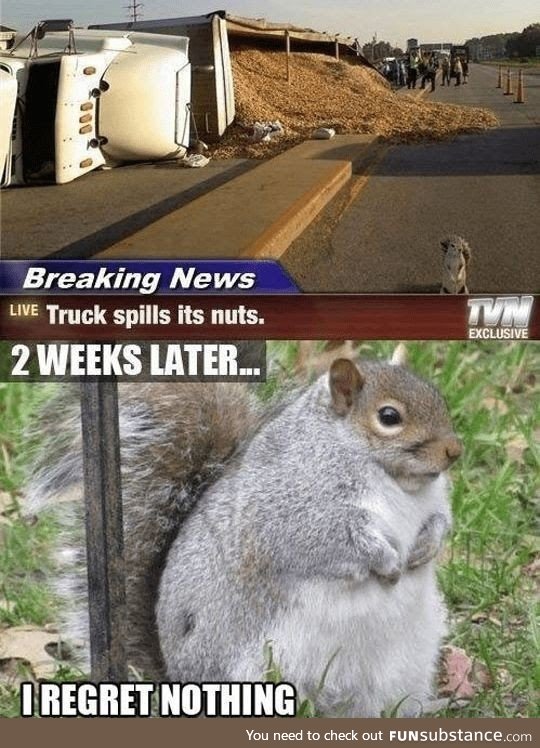 Happy squirrel