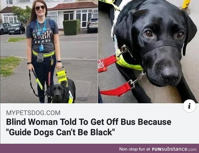 Rosa Barks begins the Montgomery bus boycott (1955, colorized)