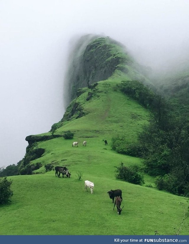 Way to heaven . Duke's Nose Lonavala Mumbai, India