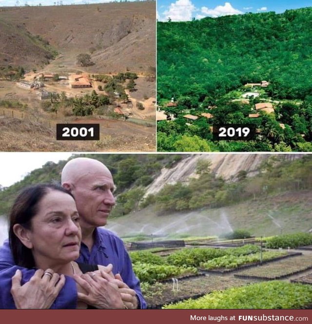 This couple planted over 2million trees to regrow a forest in 20years