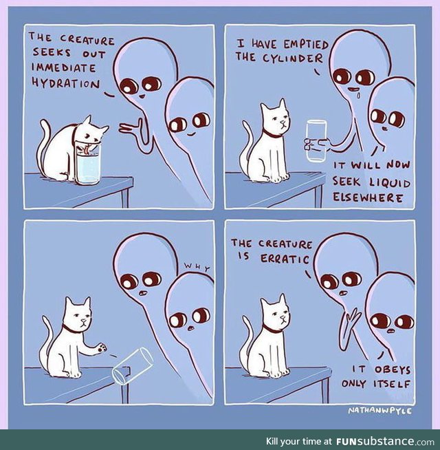 The creature is erratic