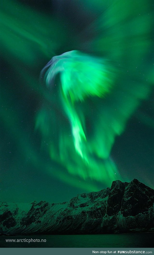 Eagle Aurora over Norway