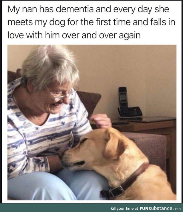 A human to greet a dog the way a dog greets a human