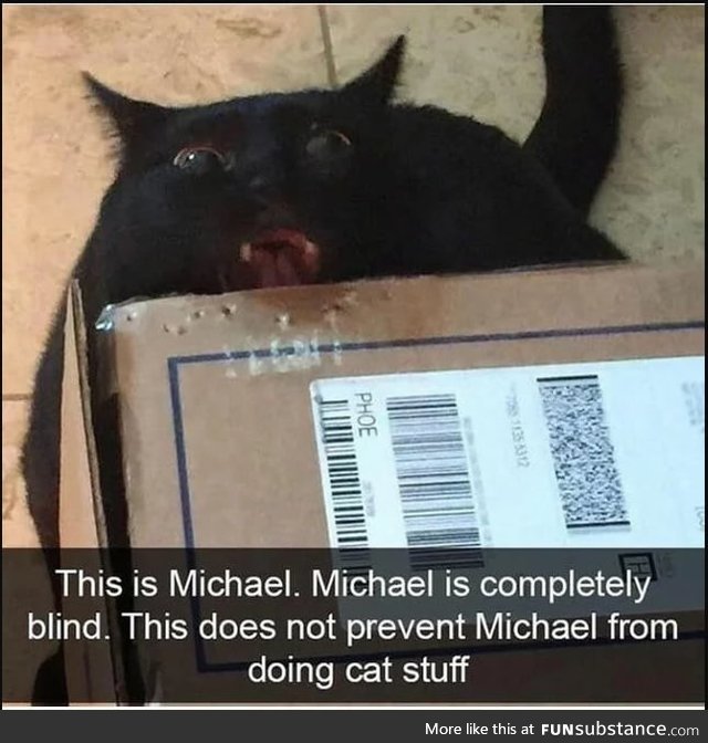 Say hello to Michael