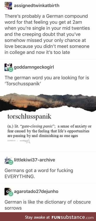 Torschlusspanik