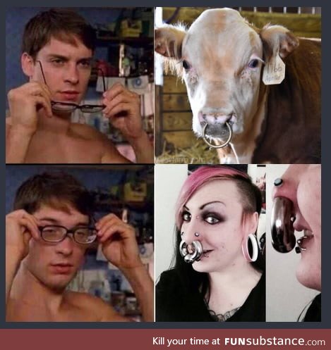 MOOOOOOOOOOOO