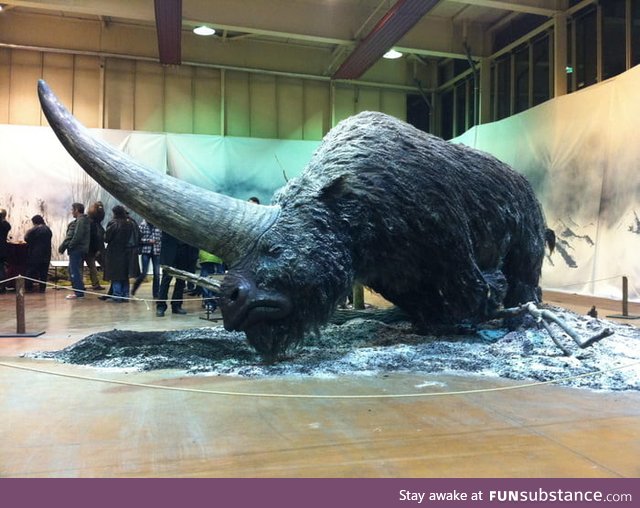 This is an Elasmotherium ('Thin Plate Beast'), a genus of Rhinoceros that