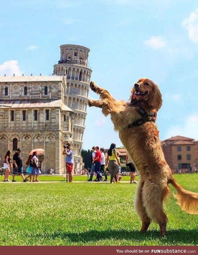 Leaning Tower of Goodboi