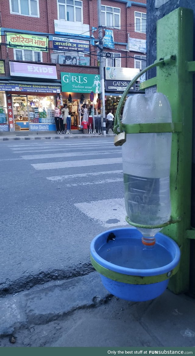 It's too hot outside. Someone setup this system so that stray animals and birds can