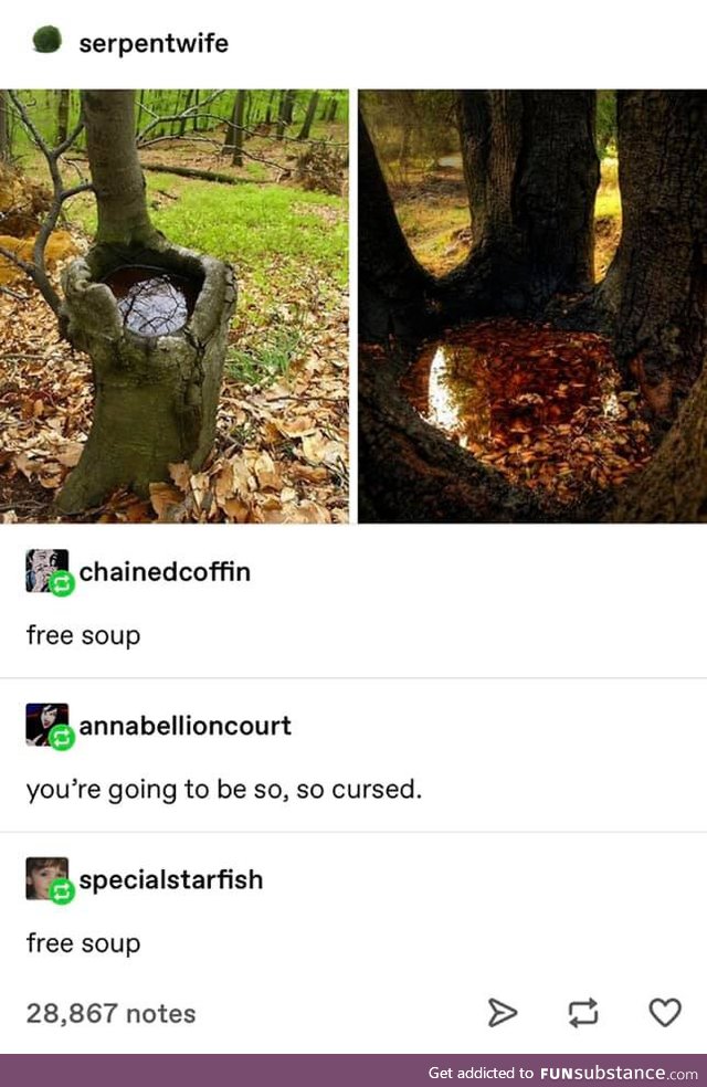 Free soup