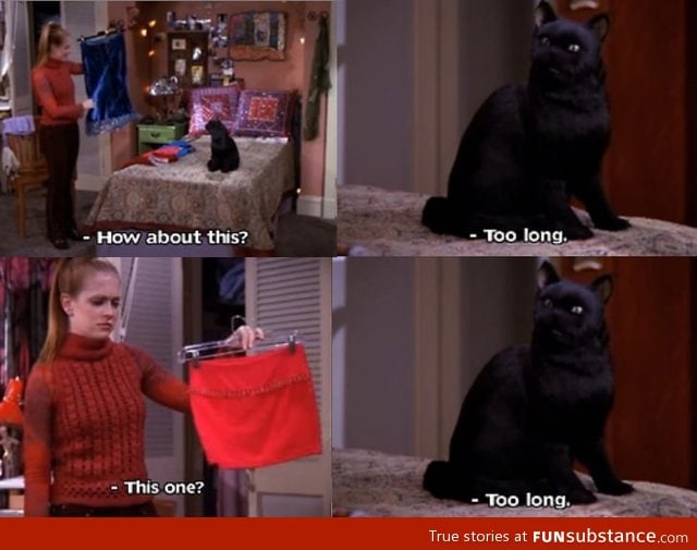 Salem you sly cat