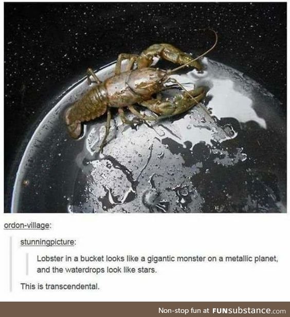 I wanna move to that planet