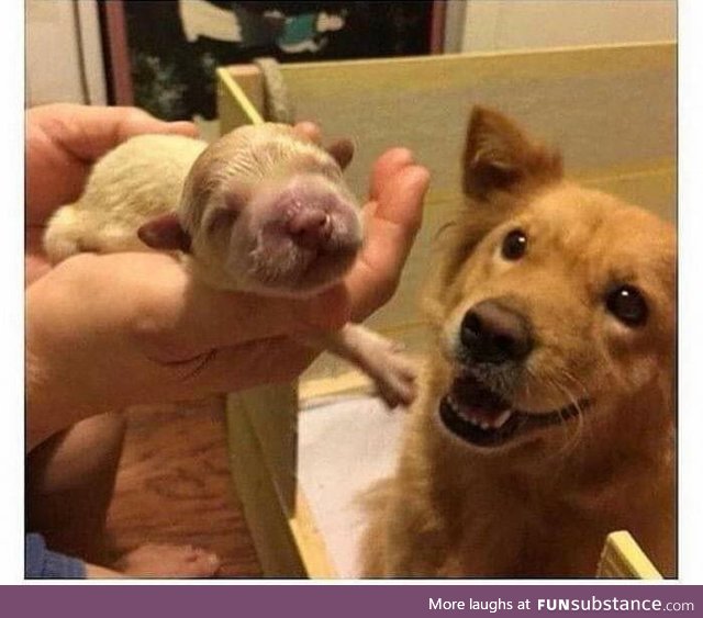 A very proud new father!!