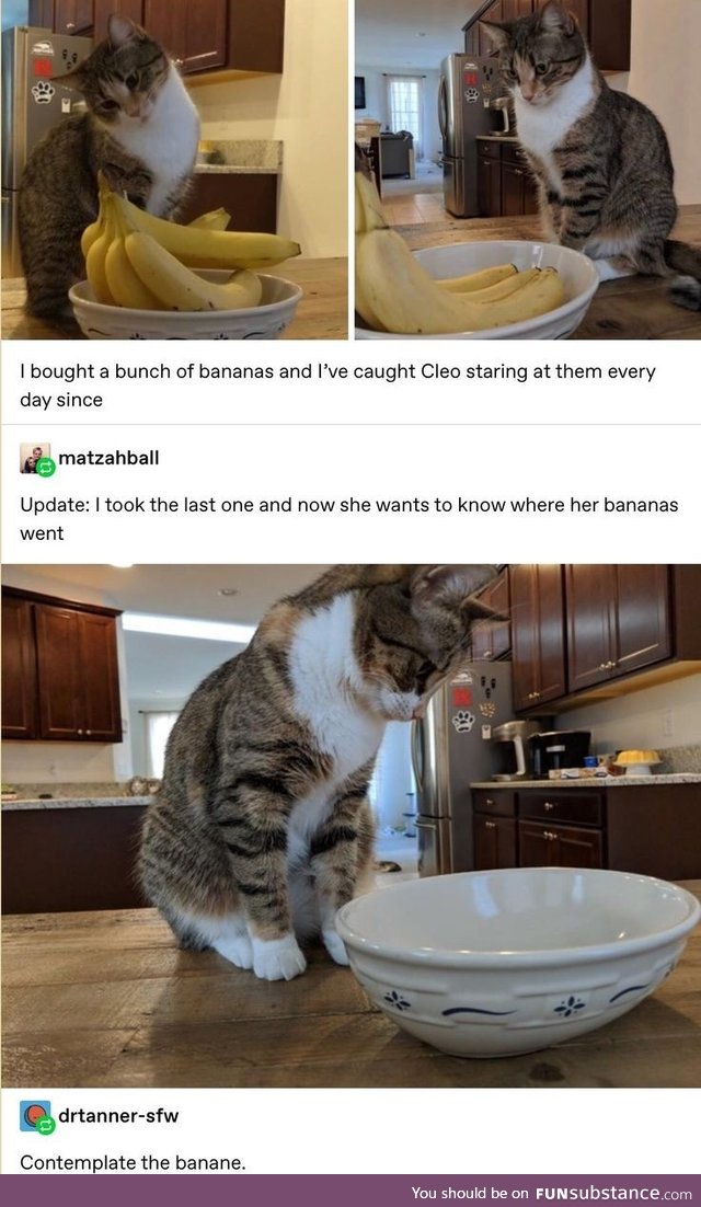 Bananas