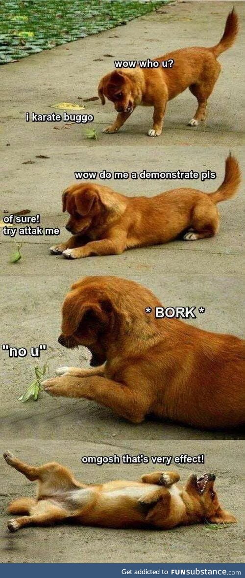 *BORKS*