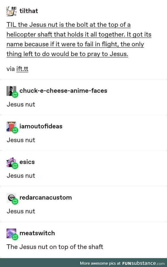 Jesus nut