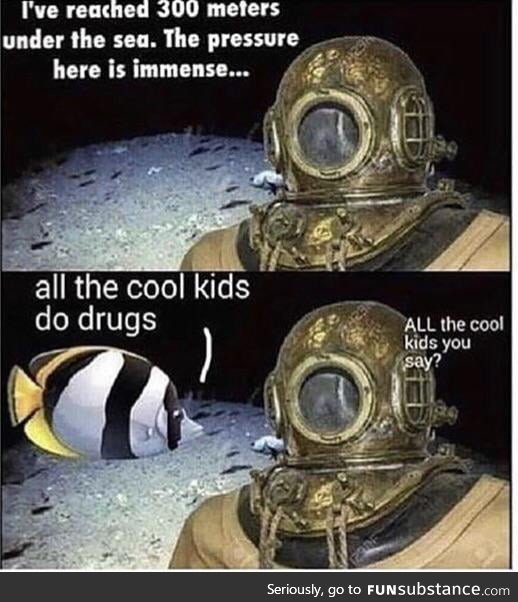 All the cool kids bro