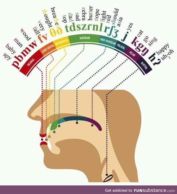 Where certain sounds are produced in your mouth. (Read the words from start to finish)